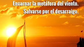 16+ Instagram Quote Creator Online Background