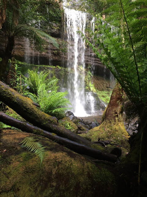 best things to do in tasmania
