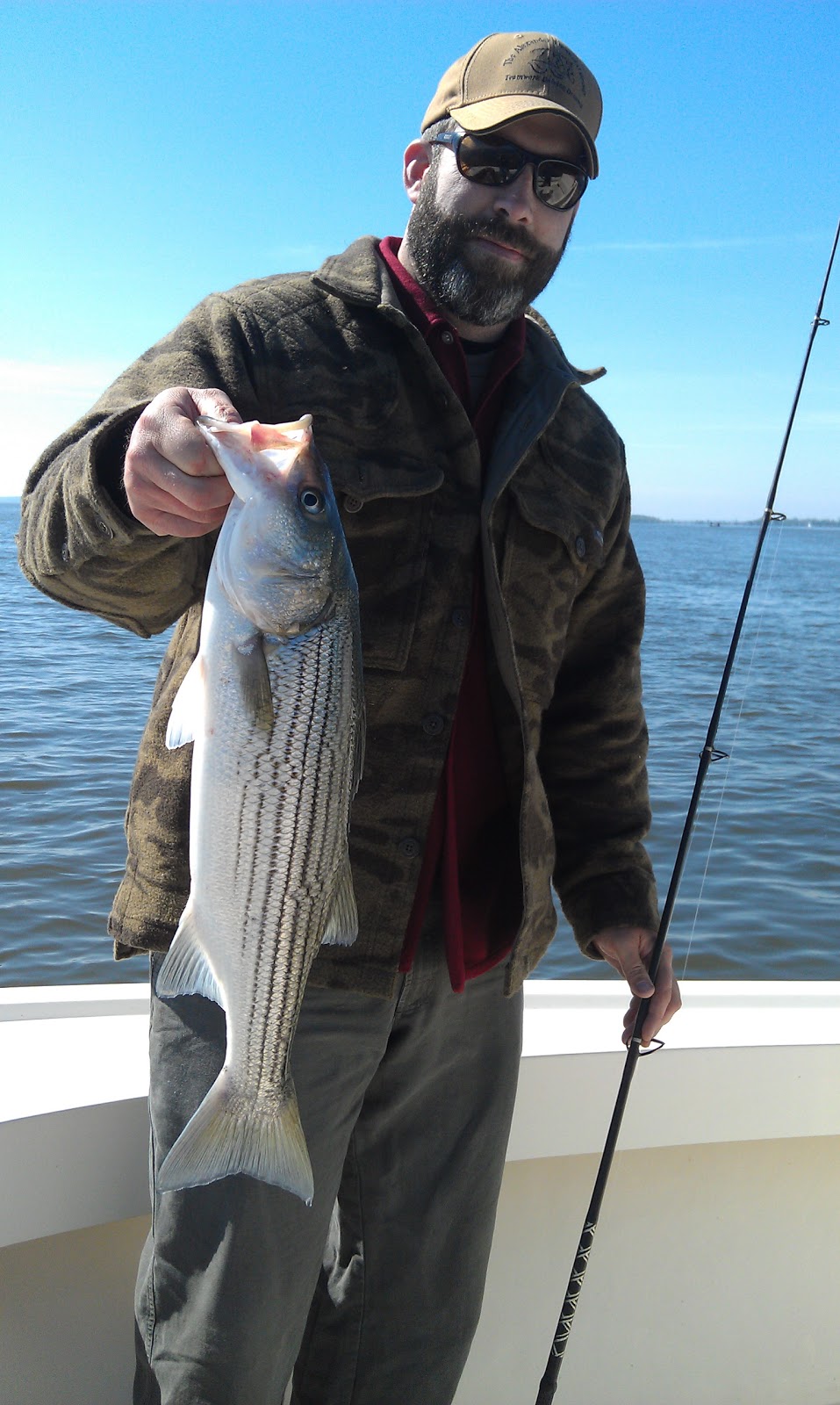 Lew's Fly Angler Chesapeake Bay and Gunpowder River Maryland Fly Fishing Guide Susquehanna