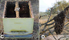 Φτιάξτε παγίδες για να πιάσετε μελίσσια: Πατέντα μελισσοκόμου με υψηλή αποτελεσματικότητα