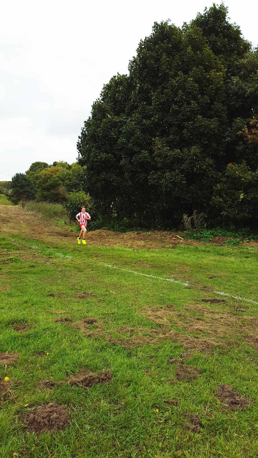 Fitness Friday: Could You Run Everyday? For A Year?