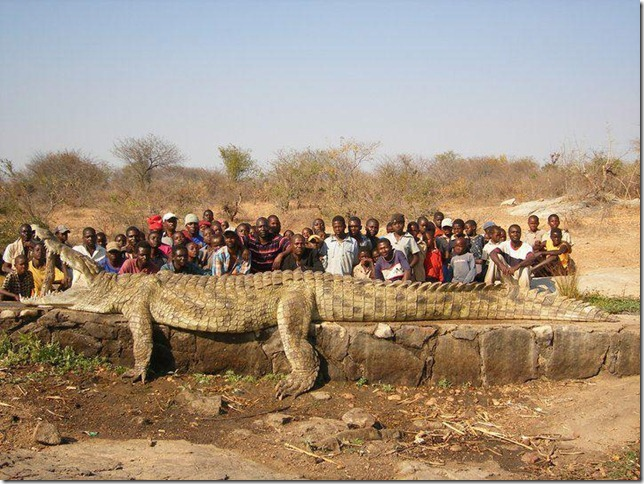 giant+crocodile.png