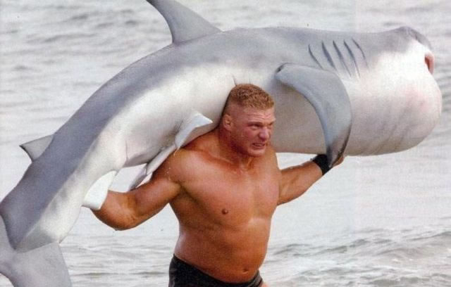 Recall Years Ago Brock Lesnar put an F5 on a Shark | Bob's Blitz
