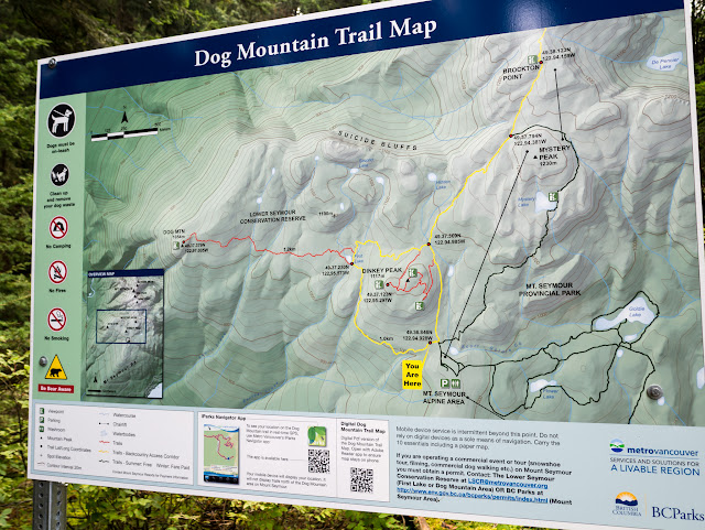 Dog Mountain at Mount Seymour