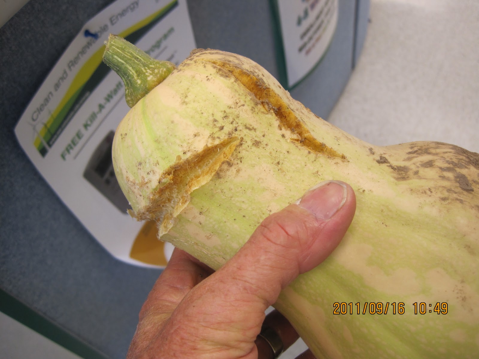 Swift's Gardening Blog Swift Horticultural Enterprises, LLC