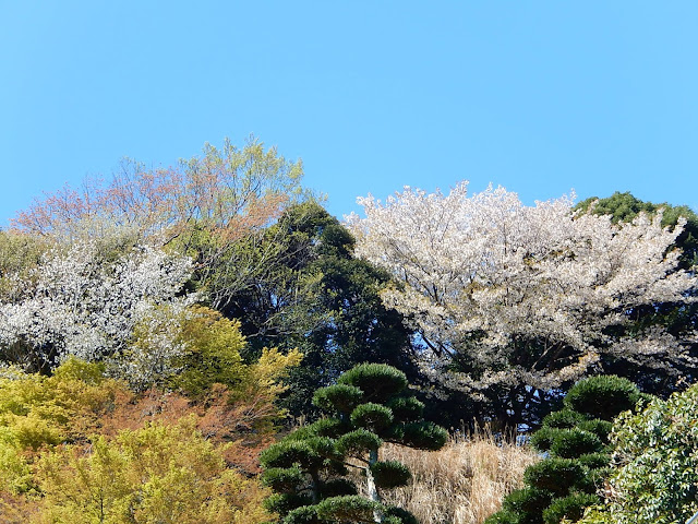 �������̍�