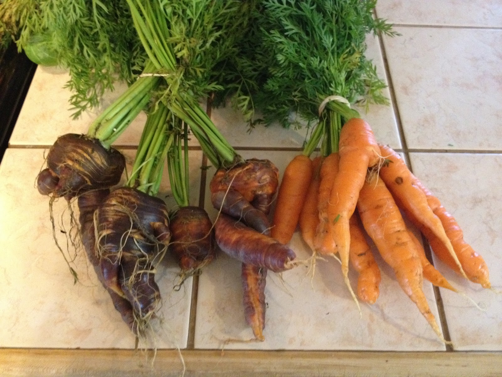 Val loves to cook: London broil with purple carrots and red potatoes