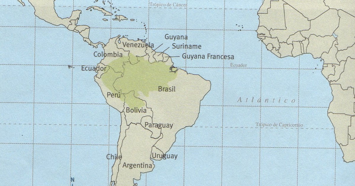 GEOGRAFÍA DE AMÉRICA ESTUDIO DE CASO LA SELVA AMAZÓNICA
