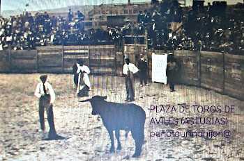 PLAZA DE TOROS DE AVILES ASTURIAS