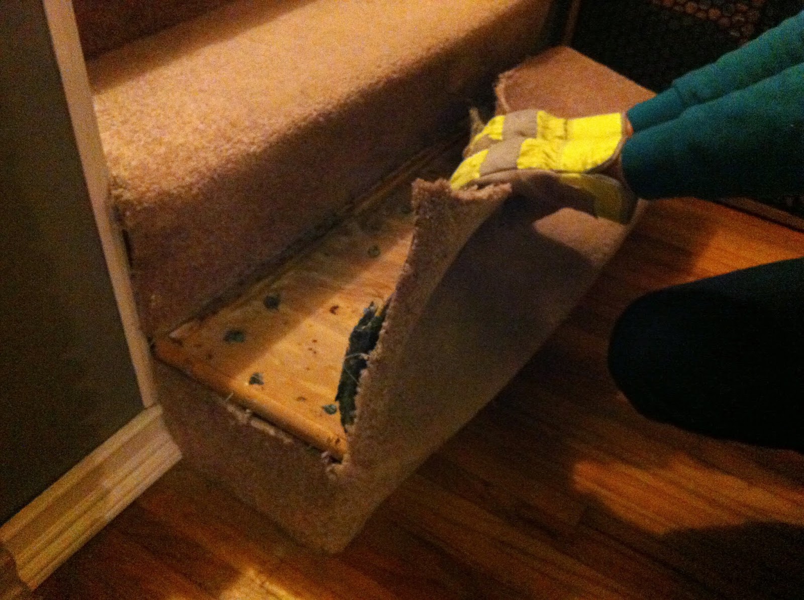 I Believe in Maricles