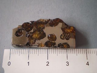 Meteorito Brenham Pallasita