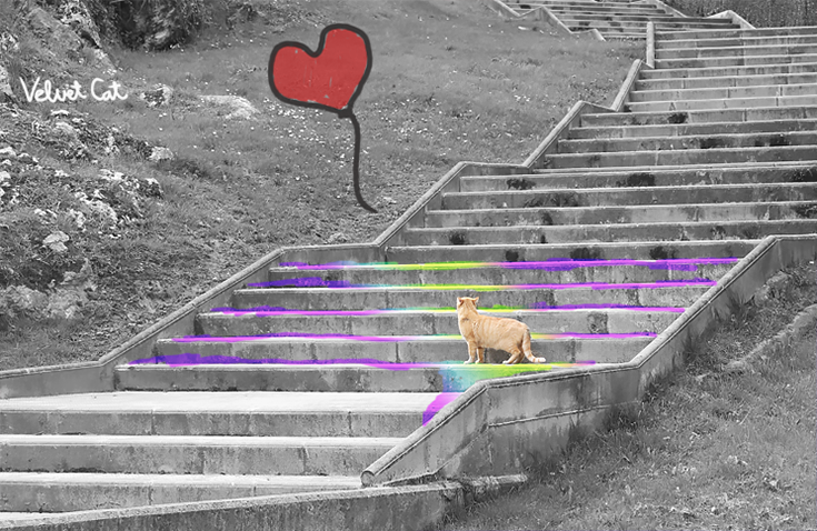 Hoy compartimos... calles y caminos