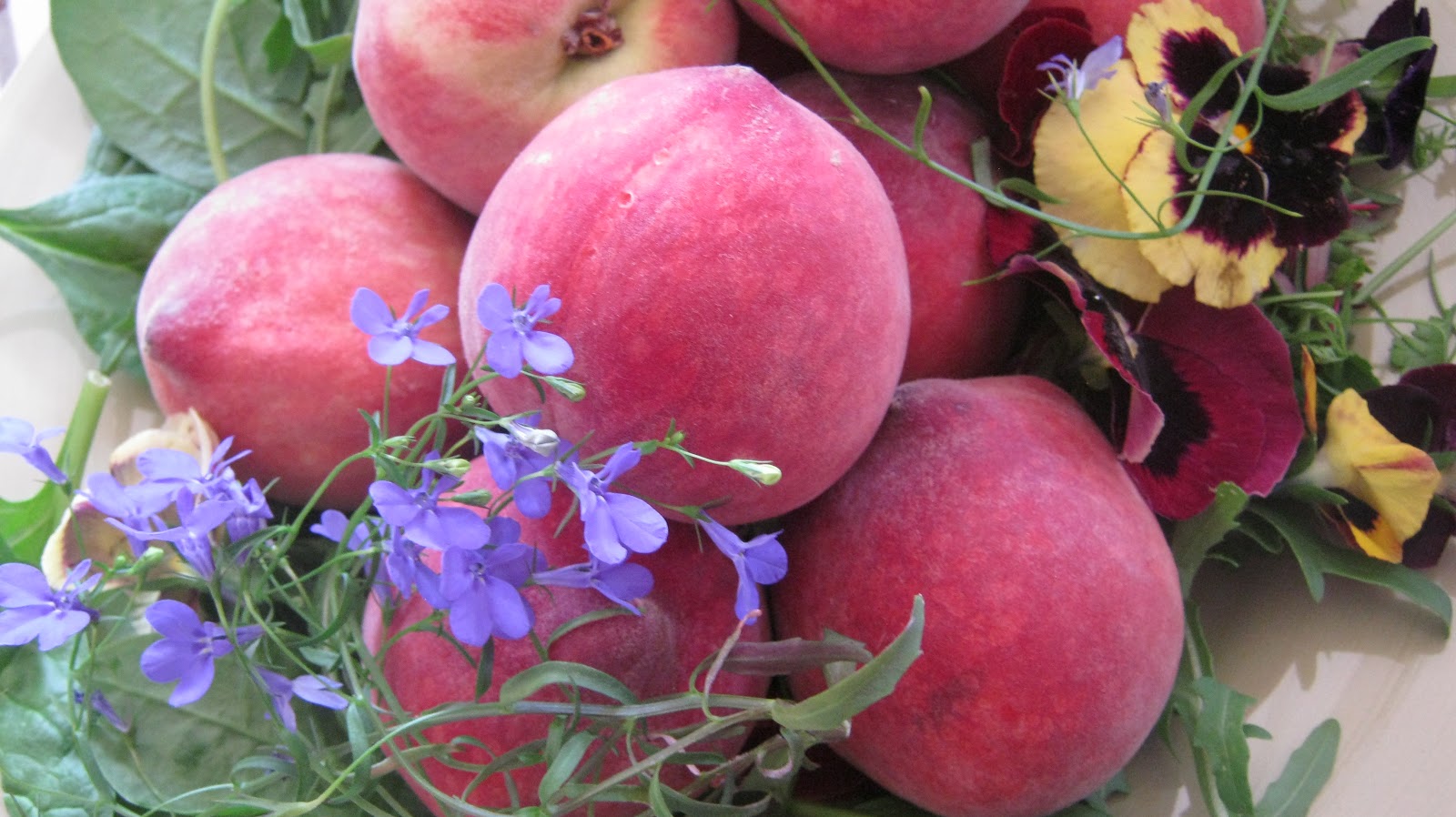 BY WORD OF MOUTH Peach Café Camdeboo Farm