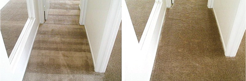 FERBER CARPET SERVICE, INC.: STEAMING / ROLL CRUSH