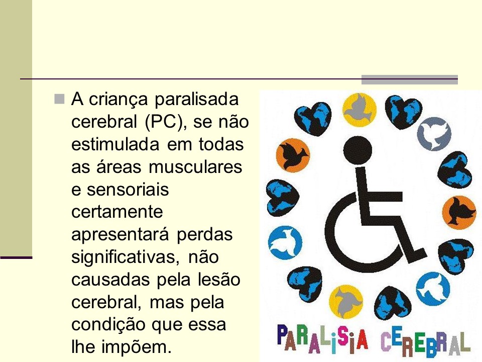 EDUCAÇÃO ESPECIAL E INCLUSÃO DEFICIÊNCIA FÍSICA