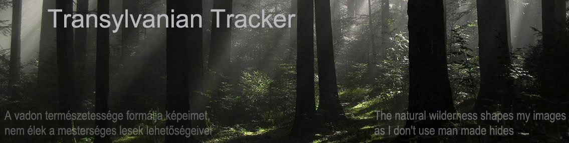 Transylvanian Tracker