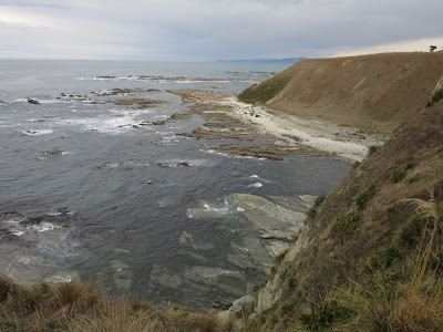 Península de Kaikoura, en Nueva Zelanda Península de Kaikoura, en Nueva Zelanda