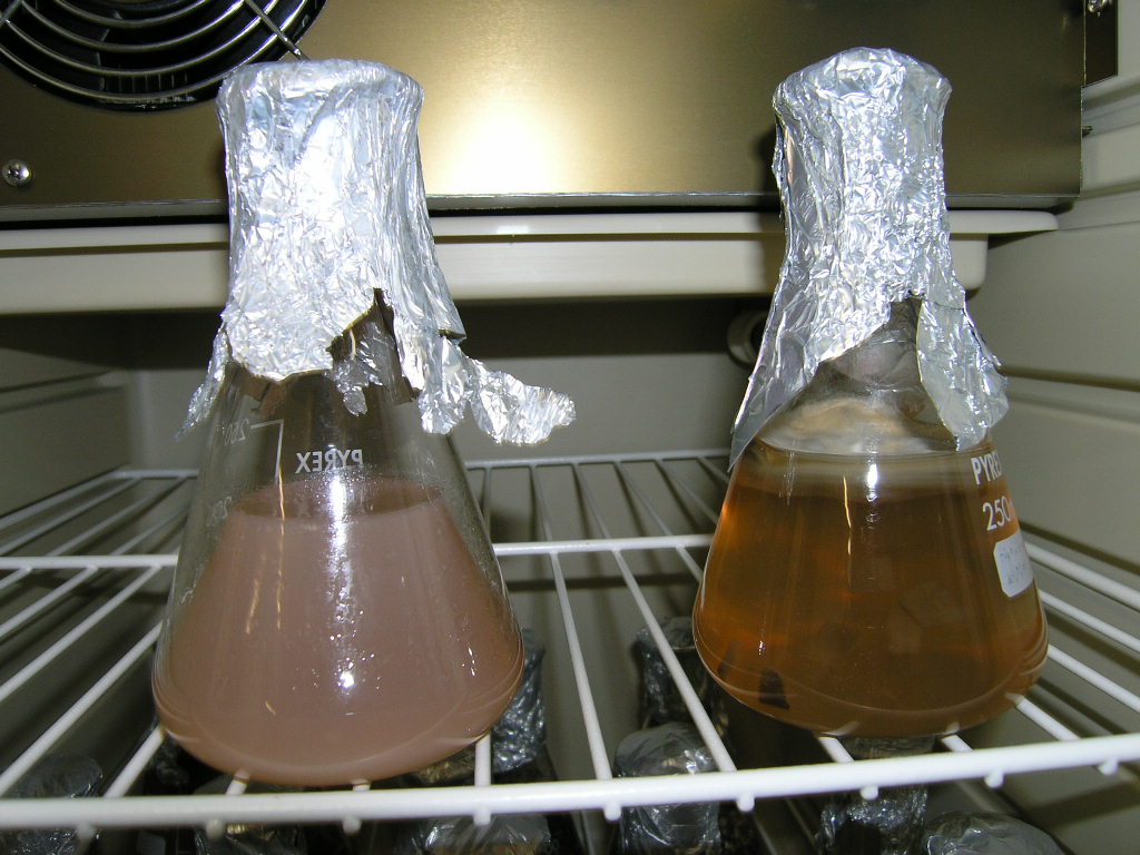 ¿Cómo se realiza un medio de