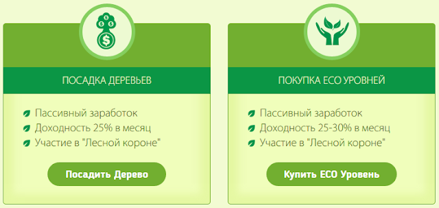 Маркетинг ecomoney обзор