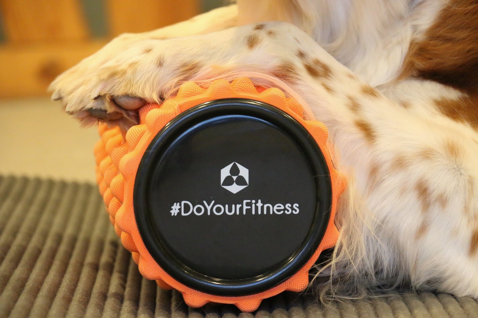 Hundeblog Fressen, Kuscheln Buddeln&hellip;