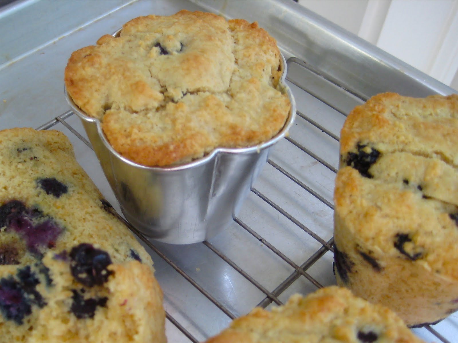 The Dogs Eat the Crumbs {TWD} Blueberry Cornmeal Loaflets