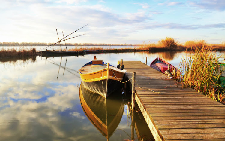Albufera Albufera