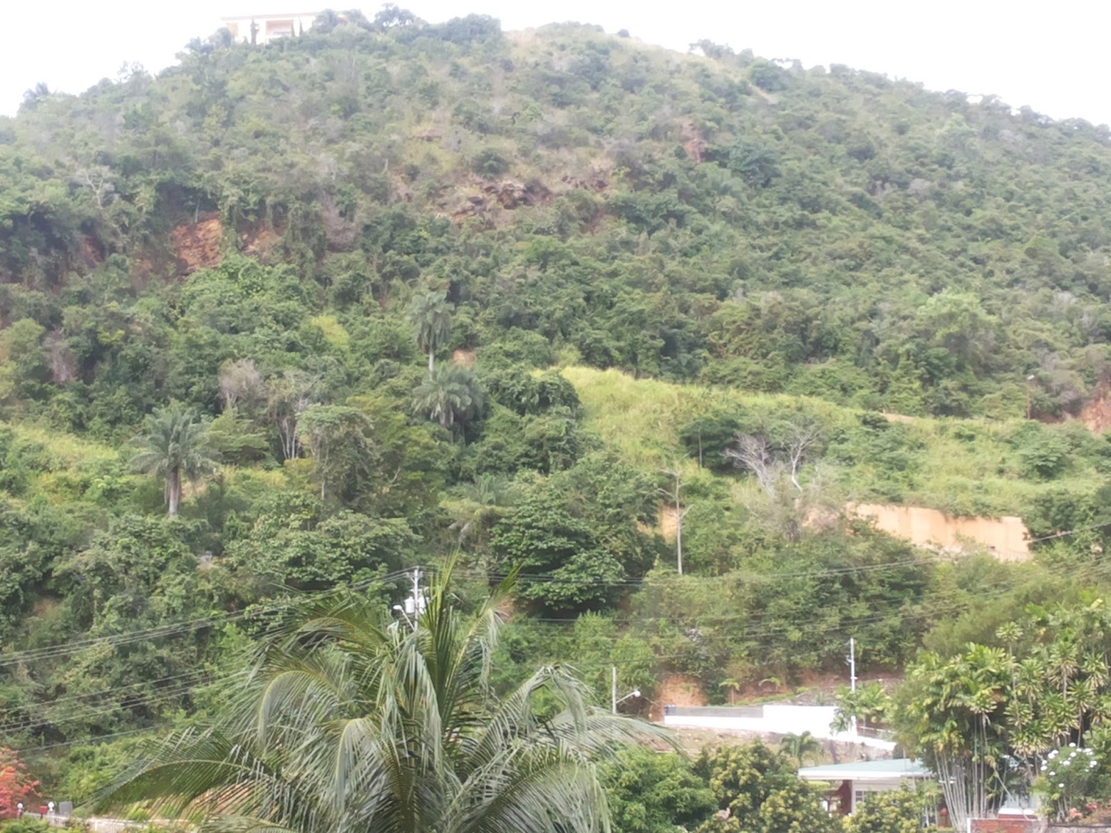 Townhouses For Sale Trinidad Goodwood Park Land For Sale