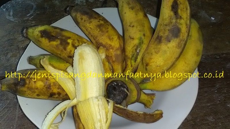 Ciri Ciri Buah Pisang Untuk Bayi Pisang Apa Yang Cocok Buat Bayi?-Ciri Ciri Buah Pisang Untuk Bayi
