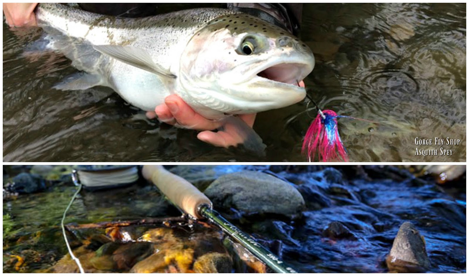 Fly Shop Blog G.Loomis Asquith (part 2)