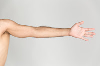 Arm (lengan) Arm (lengan)