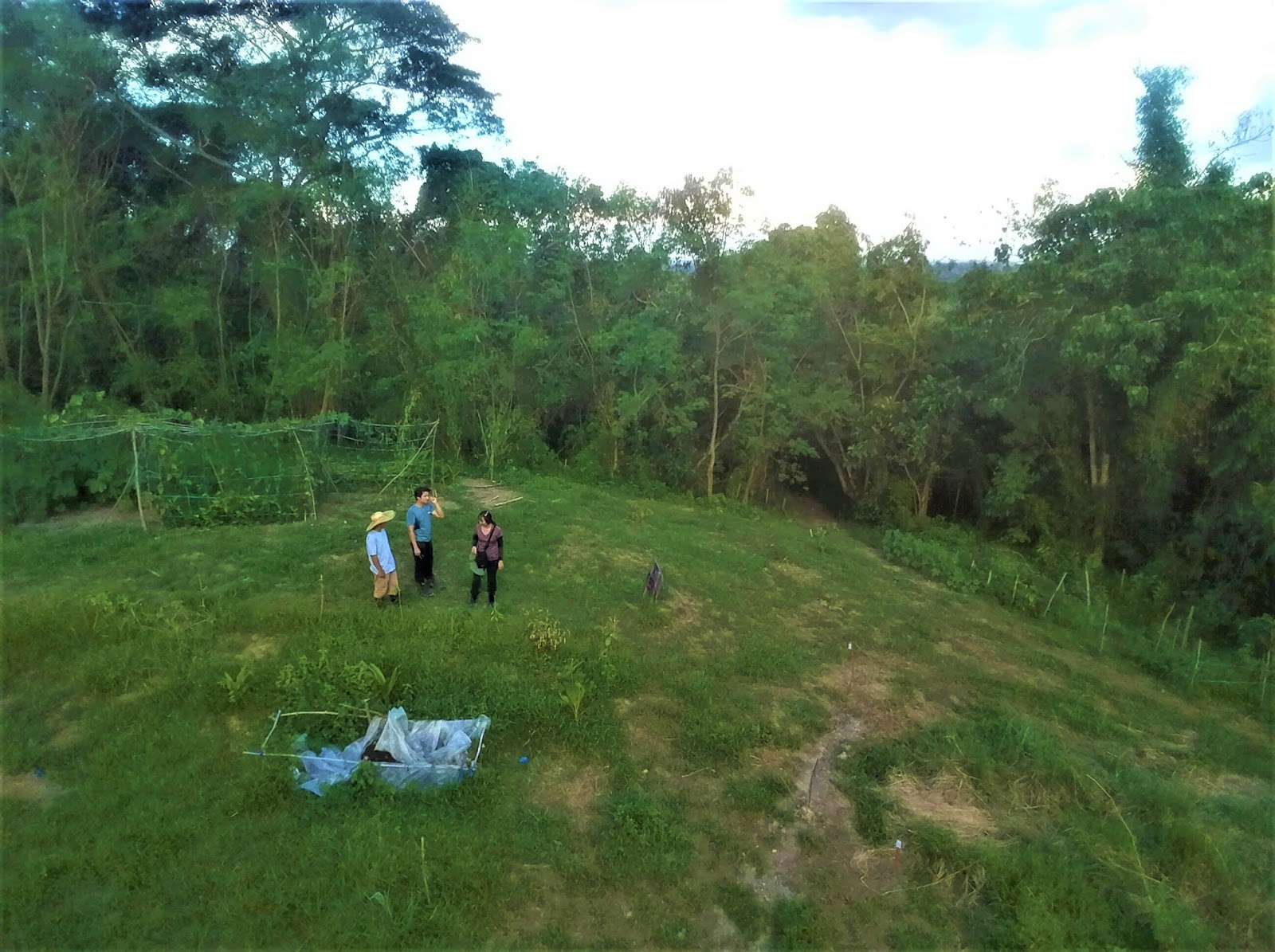 Permaculture Research PH Lorenza's Garden & Food Forest Farm Isabela's Hidden Gem