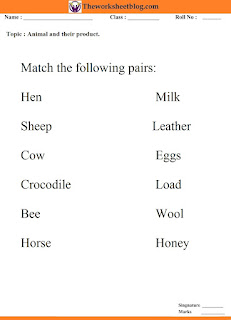 What do animals give us worksheet.