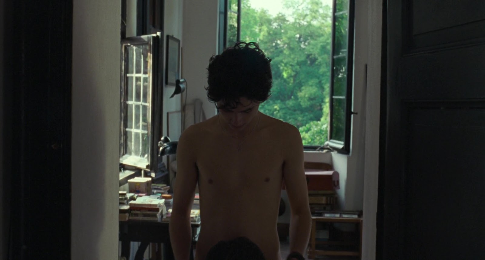 Armie Hammer nude in Call Me By Your Name.