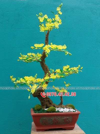 Hoa pha lê nghệ thuật ở Phú Xuyên Hoa pha le nghe thuat o Phu Xuyen