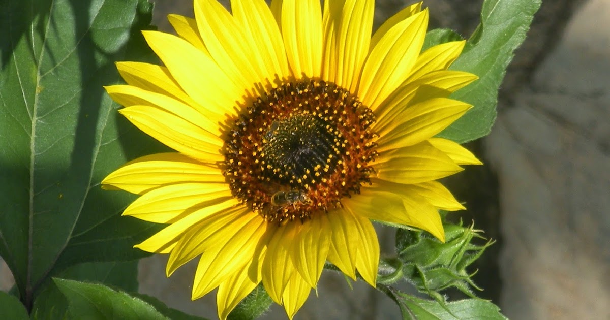 und therapie Erst zentrieren und durchatmen, dann loslegen!