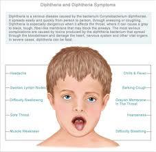 Herbal treatment of diphtheria