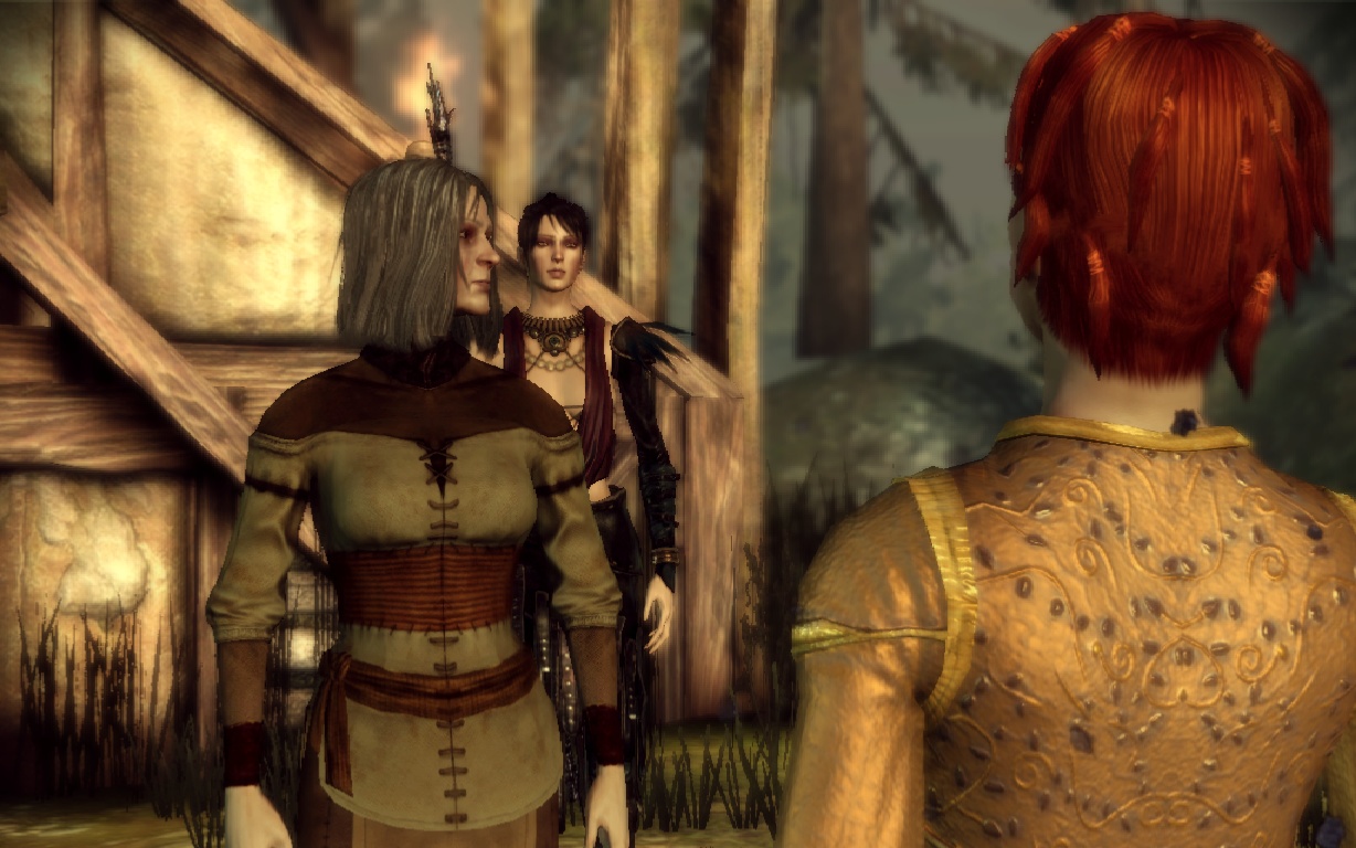 Dragon Age: Origins, Elven Alienage All Quests