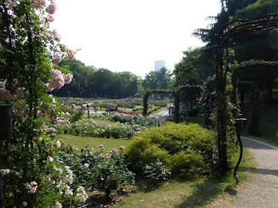 靭公園バラ園