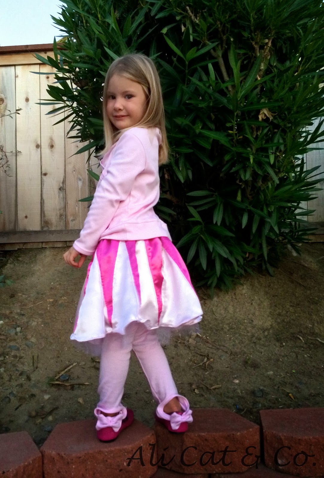 Ali Cat & Co. Halloween Costume Ballerina