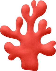 ® Colección de Gifs ®: IMÁGENES DE ALGAS MARINAS