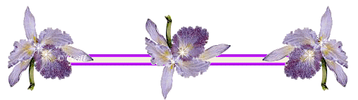 aimer joias gifs mensagens e imagens barras de flores aimer joias gifs mensagens e imagens barras de flores