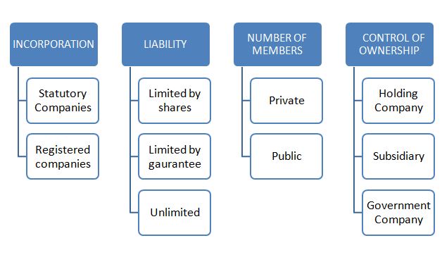 different-kinds-of-companies-legalearning