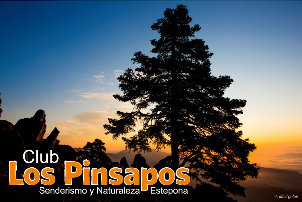 Los Pinsapos - Senderismo y Naturaleza