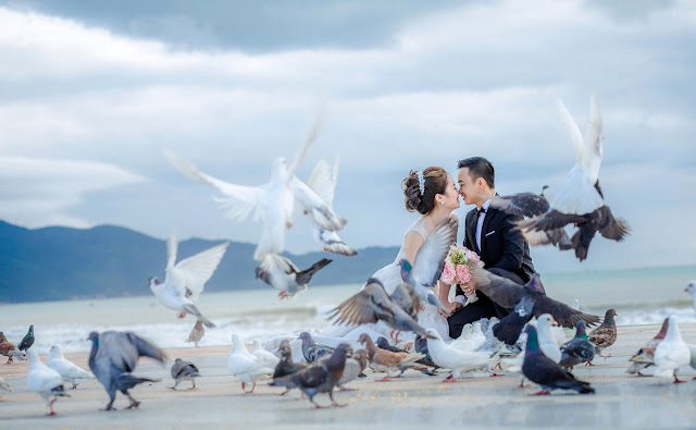 chụp ảnh cưới ngoại cảnh chuyên nghiệp tại Đà Nẵng Chup anh cuoi ngoai canh chuyen nghiep tai Da Nang