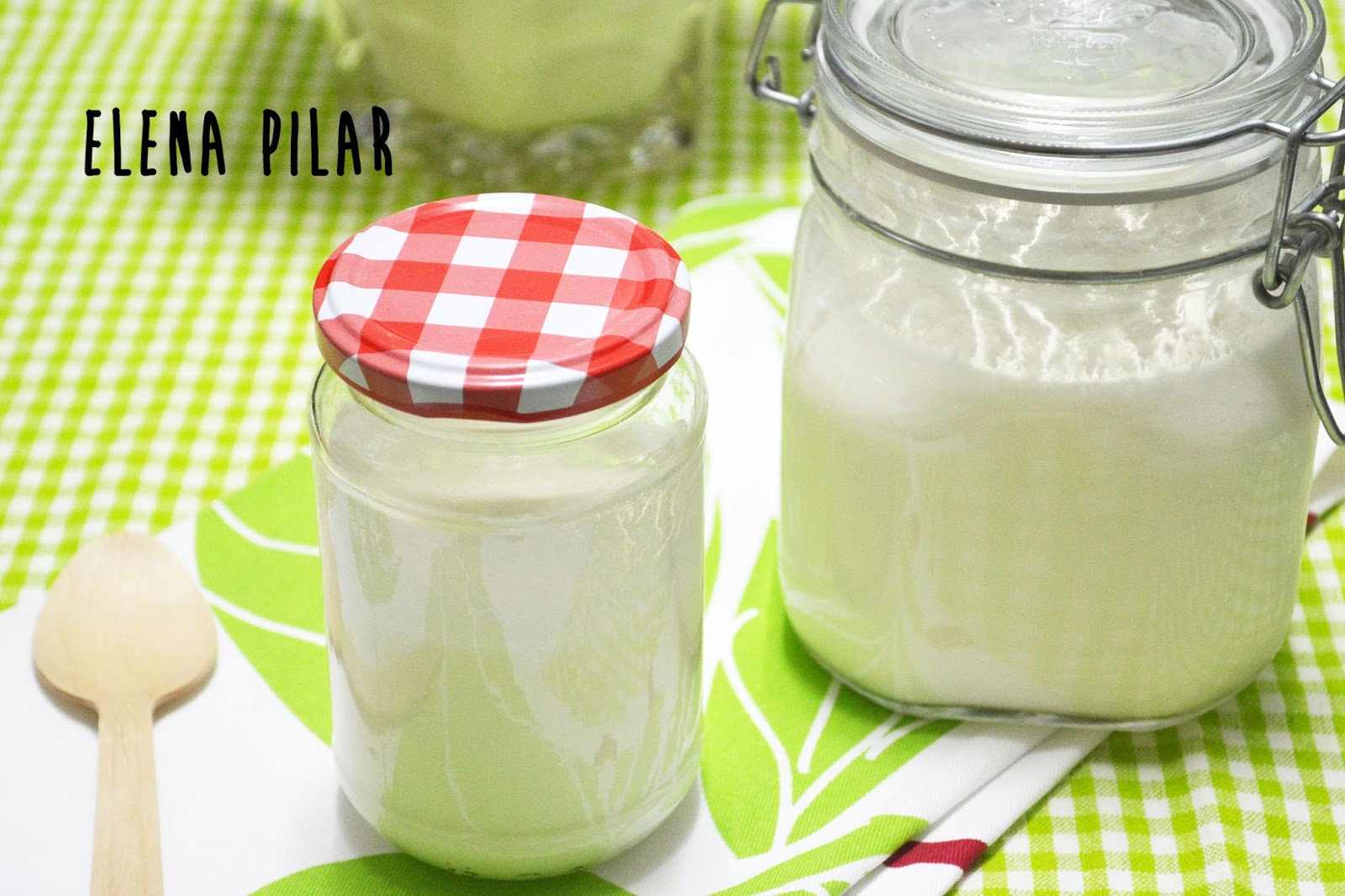 Mi Recetario por Elena Pilar Cómo hacer kéfir de leche