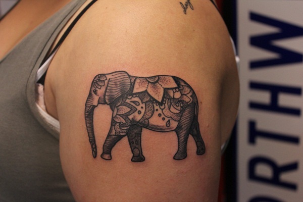 tatuagens de elefante para as meninas tatuagens de elefante para as meninas