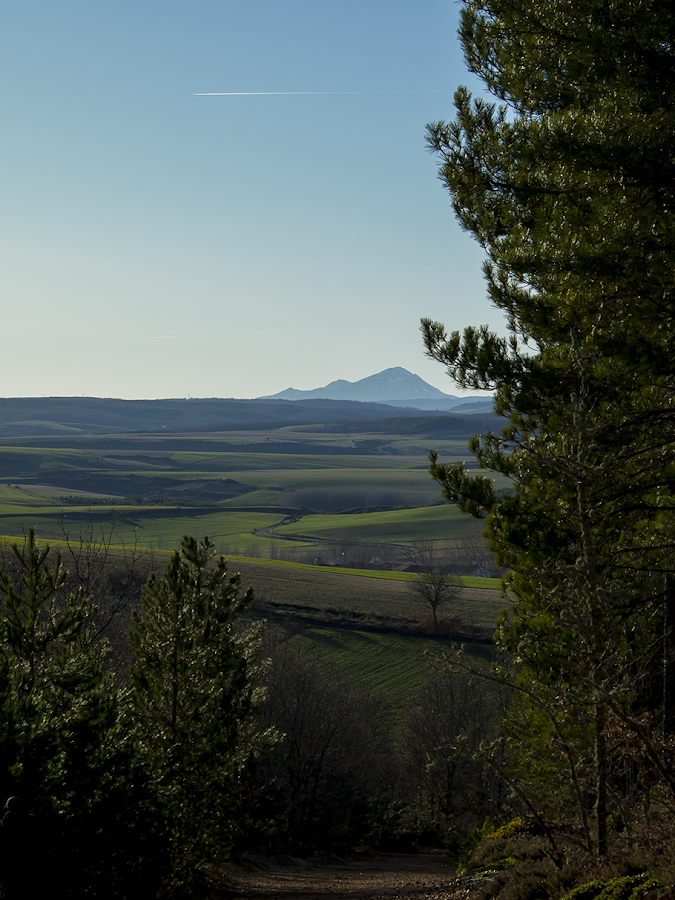 inspiración en color verde, knolling