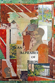 An Alphabet of Birds - Toti O'Brien