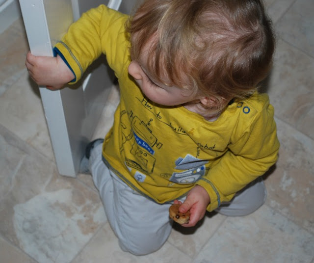 toddler with cookie in one hand whilst opening a door with the other
