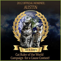 Cat Ruler of the World - 2012 Official Nominee